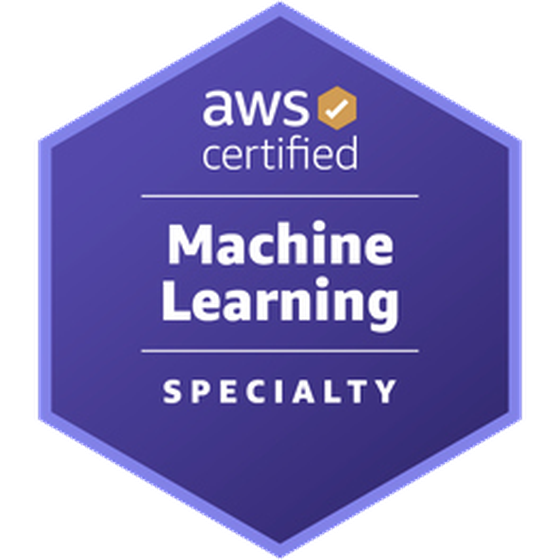 AWS Certified Machine Learning - Specialty